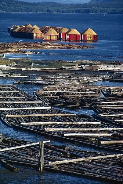 Logs booms on the Campbell River, British Columbia, Canada, North America