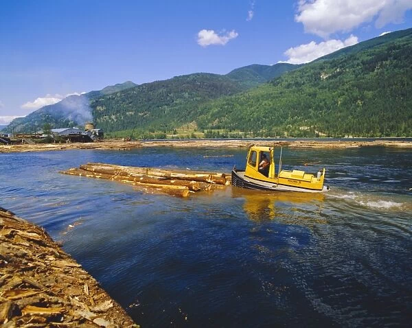 Logs for processing, British Columbia, Canada
