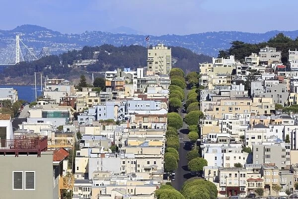 Lombard Street, San Francisco, California, United States of America, North America