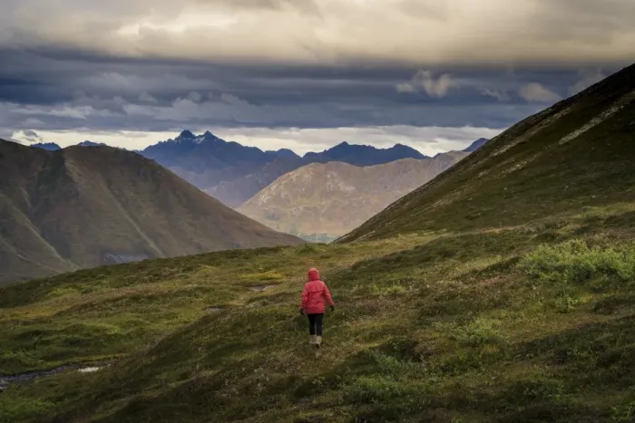 Framed Print : Lone hiker walks into Alaskan wilderness, Alaska, United States of America, North America Framed Print : Lone hiker walks into Alaskan wilderness, Alaska, United States of America, North America