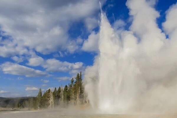 Lone observer watches Grand Geyser erupt, Upper Geyser Basin, Yellowstone National Park, UNESCO World Heritage Site, Wyoming, United States of America, North America