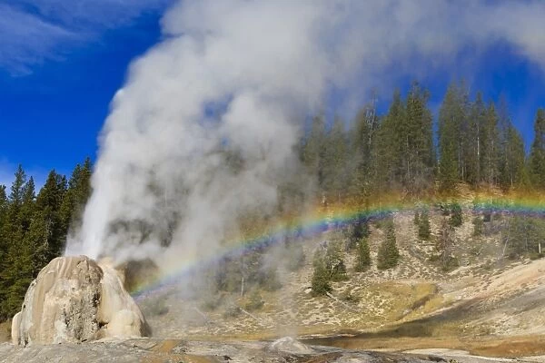 Lone Star Geyser erupts and creates rainbow, Yellowstone National Park, UNESCO World Heritage Site, Wyoming, United States of America, North America