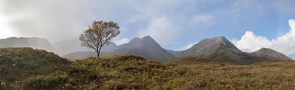 A lone tree and the Cuillins on The Isle of Skye, Inner Hebrides, Scottish Highlands
