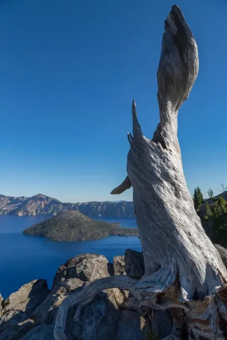 Framed Print : Lone tree trunk over Crater Lake, the deepest lake in the U. S. A. part of the Cascade Range Framed Print : Lone tree trunk over Crater Lake, the deepest lake in the U. S. A. part of the Cascade Range