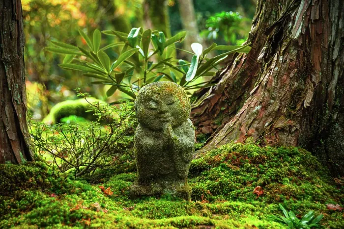 Framed Print : A lone warabe Jizo statue standing serenely amidst the verdant moss and foliage near Sanzen-in Temple in Ohara, Kyoto, Honshu, Japan Framed Print : A lone warabe Jizo statue standing serenely amidst the verdant moss and foliage near Sanzen-in Temple in Ohara, Kyoto, Honshu, Japan