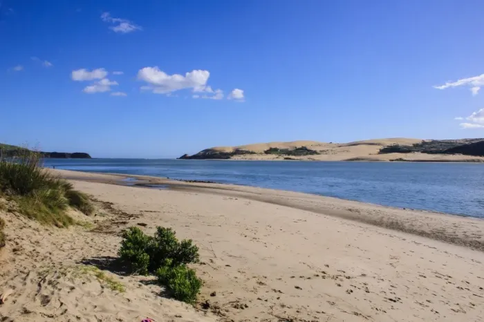 Framed Print : Lonely beach in the Arai-Te-Uru Recreation Reserve south end of Hokianga harbour, Westcoast Northland, North Island, New Zealand Framed Print : Lonely beach in the Arai-Te-Uru Recreation Reserve south end of Hokianga harbour, Westcoast Northland, North Island, New Zealand