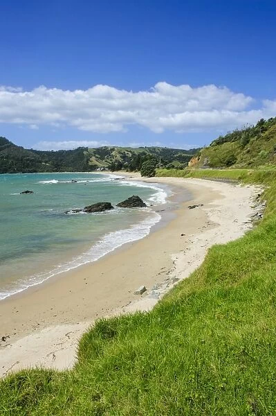 Lonely beach on the coastline of Northern Coromandel, North Island, New Zealand, Pacific