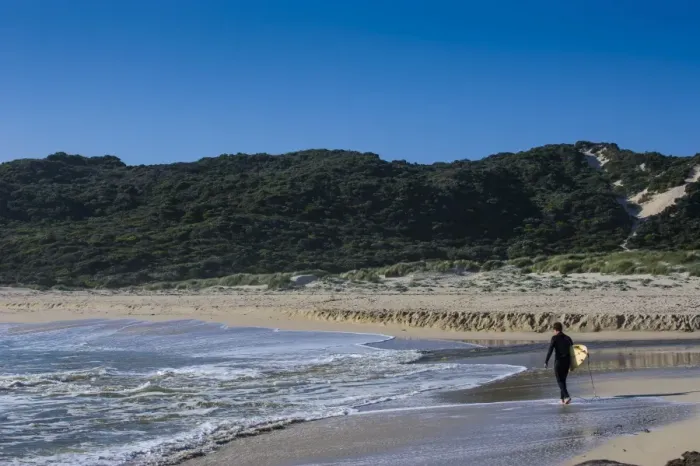 Framed Print : Lonely surfer on a beach near Margaret River, Western Australia, Australia, Pacific Framed Print : Lonely surfer on a beach near Margaret River, Western Australia, Australia, Pacific
