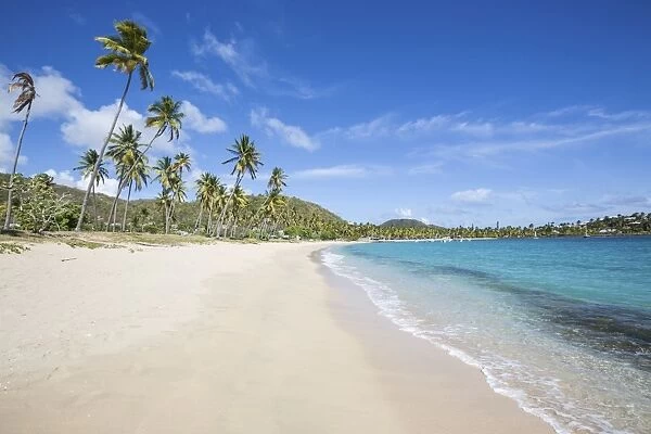 The long beach surrounded by palm trees and the Caribbean Sea, Morris Bay, Antigua and Barbuda