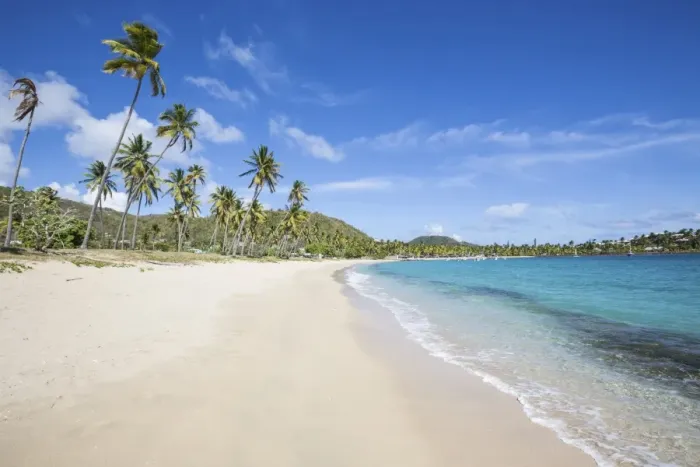 Framed Print : The long beach surrounded by palm trees and the Caribbean Sea, Morris Bay, Antigua and Barbuda Framed Print : The long beach surrounded by palm trees and the Caribbean Sea, Morris Bay, Antigua and Barbuda