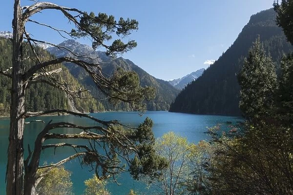 Long Lake, Jiuzhaigou National Park, UNESCO World Heritage Site, Sichuan Province