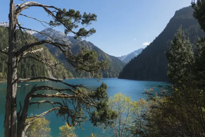 Framed Print : Long Lake, Jiuzhaigou National Park, UNESCO World Heritage Site, Sichuan Province Framed Print : Long Lake, Jiuzhaigou National Park, UNESCO World Heritage Site, Sichuan Province