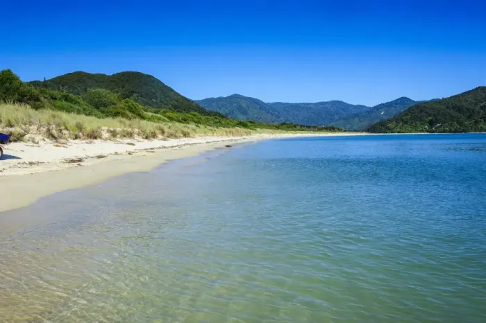 Framed Print : Long sandy beach, Abel Tasman National Park, South Island, New Zealand, Pacific Framed Print : Long sandy beach, Abel Tasman National Park, South Island, New Zealand, Pacific