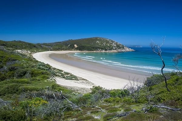 Long wide sandy beach in the Wilsons Promontory National Park, Victoria, Australia, Pacific