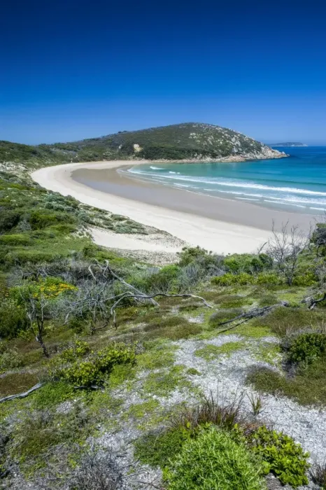 Framed Print : Long wide sandy beach in the Wilsons Promontory National Park, Victoria, Australia, Pacific Framed Print : Long wide sandy beach in the Wilsons Promontory National Park, Victoria, Australia, Pacific