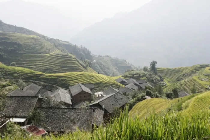 Framed Print : Longsheng terraced ricefields, Guilin, Guangxi Province, China, Asia Framed Print : Longsheng terraced ricefields, Guilin, Guangxi Province, China, Asia