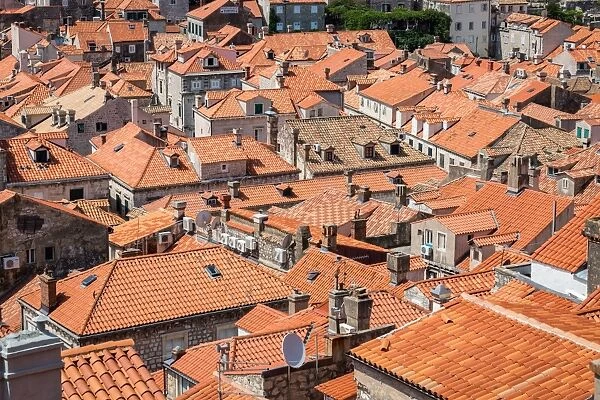Looking across Dubrovniks terracotta tiled rooftops, Dubrovnik, Croata, Europe