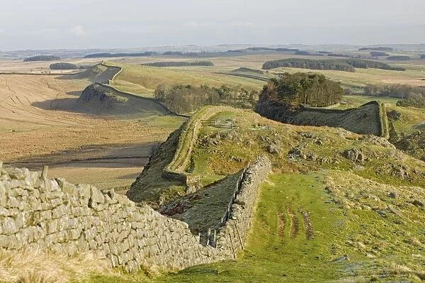 Looking east from Holbank Crags showing course of the Roman wall past Housesteads Wood to Sewingshields Crag, Hadrians Wall, UNESCO World Heritage Site, Northumbria (Northumberland), England, United