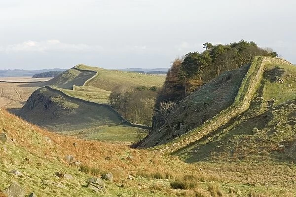 Looking east from Housesteads Crag and wood to Kennel Crags, Kings Hill