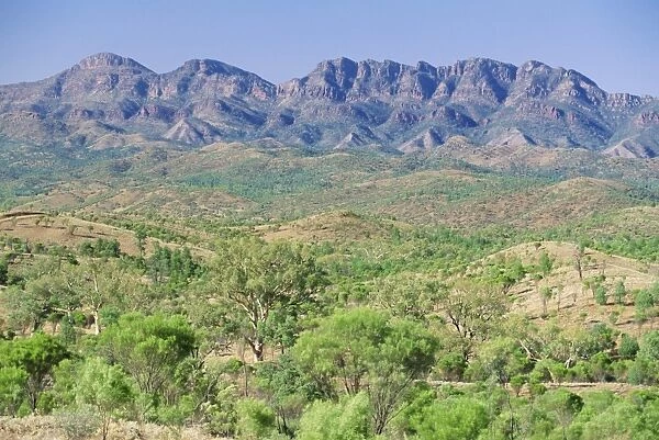 Looking towards the eastern escarpment of Wilpena Pound, a huge natural basin