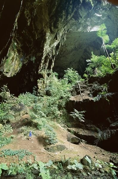 Looking out through entrance of cave