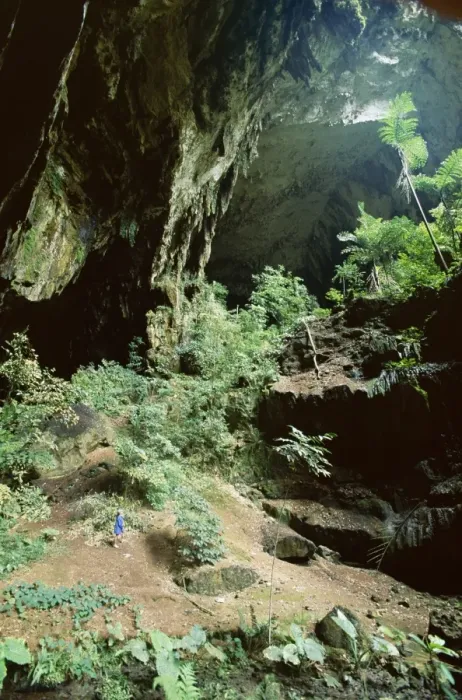 Framed Print : Looking out through entrance of cave Framed Print : Looking out through entrance of cave
