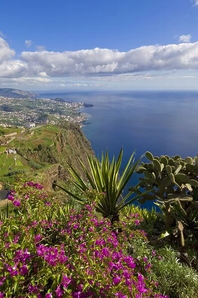 Looking towards Funchal from Cabo Girao, 580m, one of the worlds highest sea cliffs on the south coast of the island of Madeira, Portugal