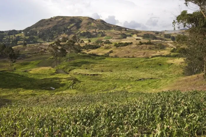 Framed Print : Looking across maize fields of the Canari people towards the Temple of the Sun at the most important Inca site in Ecuador, elevation 3230m, Ingapirca, Canar Province, Southern Highlands, Ecuador