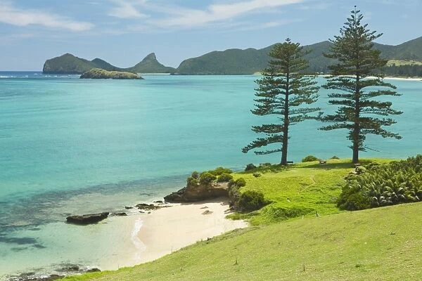 Looking north to Lovers Bay with two Norfolk Island pines by the lagoon with the worlds most southerly coral reef, on this 10km long ancient volcanic island in the Tasman Sea, Lord Howe Island, UNESCO World Heritage Site, New South