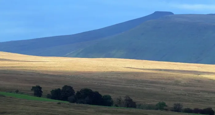 Framed Print : Looking towards Pen-y-Fan, Brecon Beacons, Powys, Wales, United Kingdom, Europe