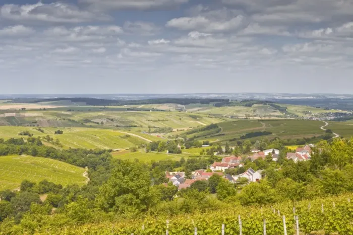 Framed Print : Looking down on the village of Amigny near to Sancerre, an area famous for its wine, Cher, Centre, France, Europe Framed Print : Looking down on the village of Amigny near to Sancerre, an area famous for its wine, Cher, Centre, France, Europe