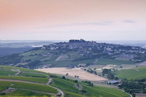 Looking across the vineyards of Sancerre, Cher, Loire Valley, Centre, France, Europe