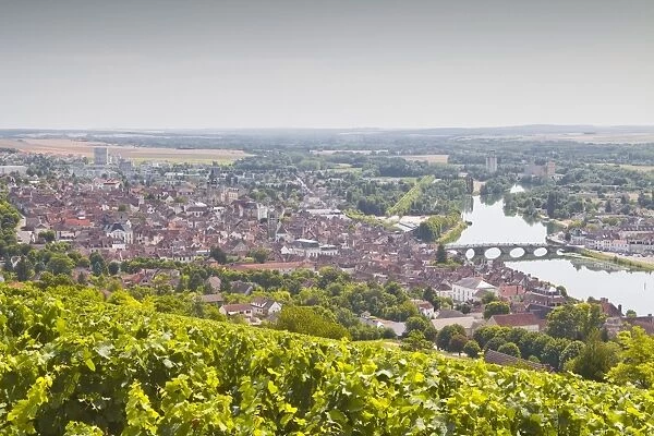 Looking over the vineyards to the town of Joigny, Yonne, Burgundy, France, Europe