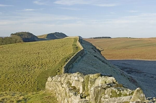 Looking west from Kings Hill to Housesteads Wood, Hotbank and Cuddy Crags