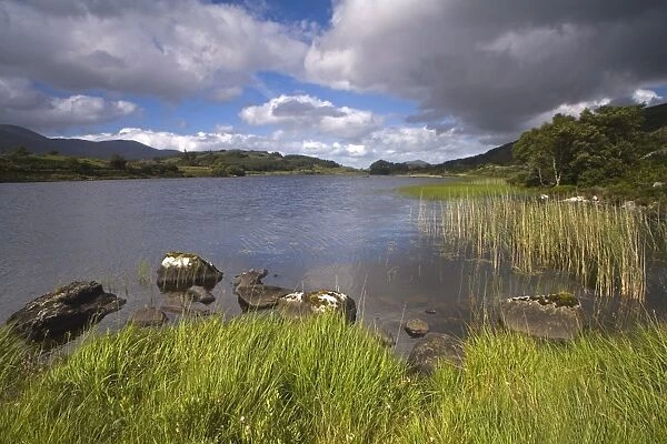 Looscaunagh Lake, Killarney National Park, County Kerry, Munster, Republic of Ireland
