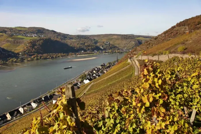 Framed Print : Lorchhausen, Rhine Valley, Hesse, Germany, Europe Framed Print : Lorchhausen, Rhine Valley, Hesse, Germany, Europe