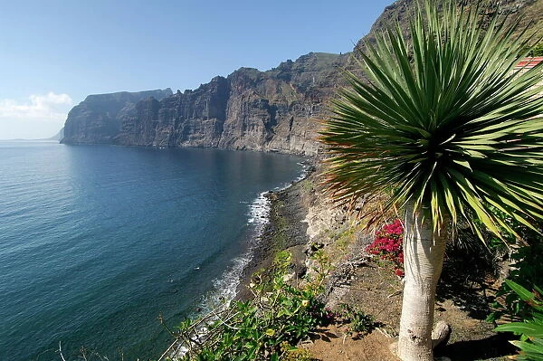 Los Gigantes cliffs, Tenerife, Canary Islands, Spain