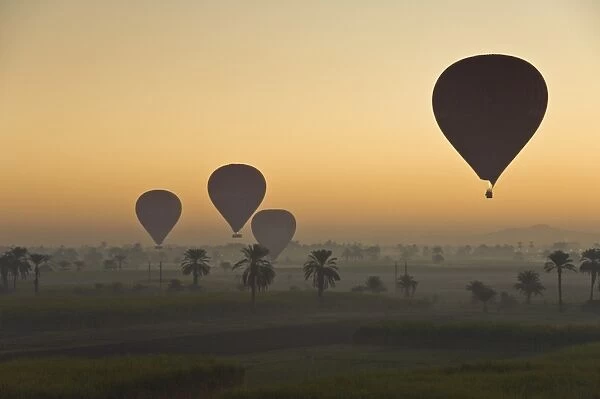 Lots of hot air balloons flying over the desert at sunrise west of the river Nile near Luxor