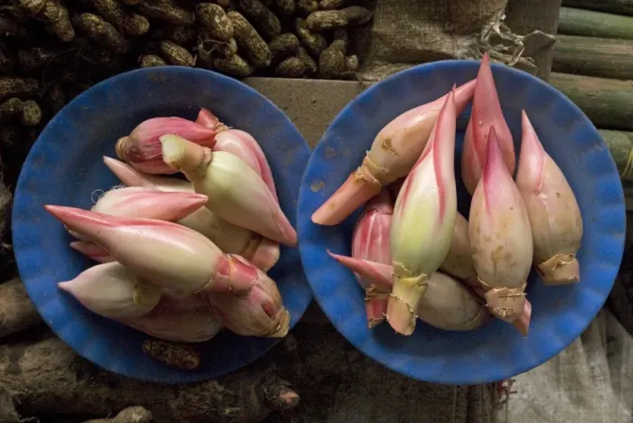 Framed Print : Lotus flower hearts in the vegetable market, Mulu, Sarawak, Malaysian Borneo Framed Print : Lotus flower hearts in the vegetable market, Mulu, Sarawak, Malaysian Borneo