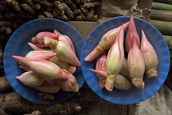 Lotus flower hearts in the vegetable market, Mulu, Sarawak, Malaysian Borneo