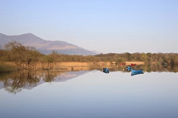 Lough Leane, Ross Bay, Killarney National Park, County Kerry, Munster, Republic of Ireland