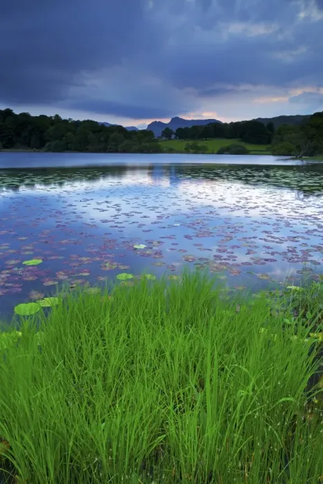 Framed Print : Loughrigg Tarn, Lake District National Park, Cumbria, England, United Kingdom, Europe Framed Print : Loughrigg Tarn, Lake District National Park, Cumbria, England, United Kingdom, Europe