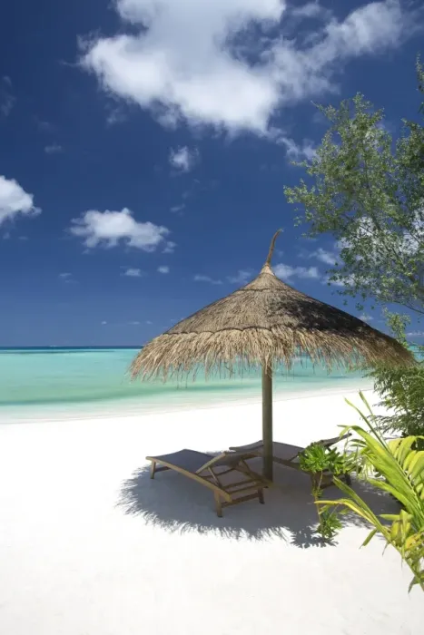 Framed Print : Lounge chairs under shade of umbrella on tropical beach, Maldives, Indian Ocean, Asia Framed Print : Lounge chairs under shade of umbrella on tropical beach, Maldives, Indian Ocean, Asia