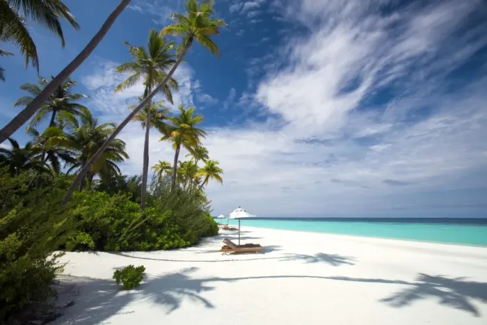 Framed Print : Lounge chairs under shade of umbrella on tropical beach, Maldives, Indian Ocean, Asia Framed Print : Lounge chairs under shade of umbrella on tropical beach, Maldives, Indian Ocean, Asia