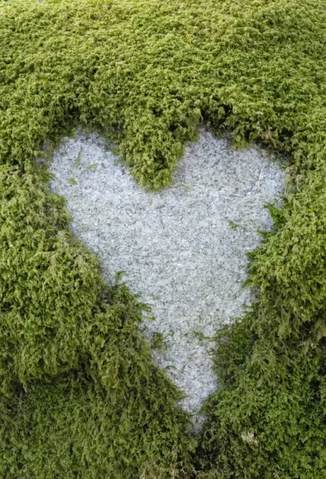 Framed Print : Love Heart shape in moss on granite bolder Framed Print : Love Heart shape in moss on granite bolder