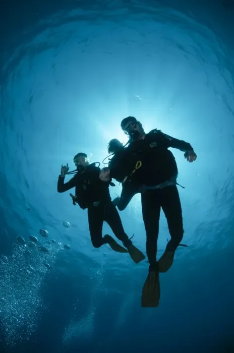 Framed Print : Low angle view of three scuba divers, backlit, Sharm El Sheikh, South Sinai, Red Sea, Egypt, North Africa, Africa Framed Print : Low angle view of three scuba divers, backlit, Sharm El Sheikh, South Sinai, Red Sea, Egypt, North Africa, Africa