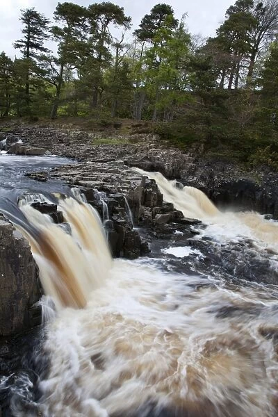 Low Force Waterfall in Upper Teesdale, County Durham, England, United Kingdom, Europe