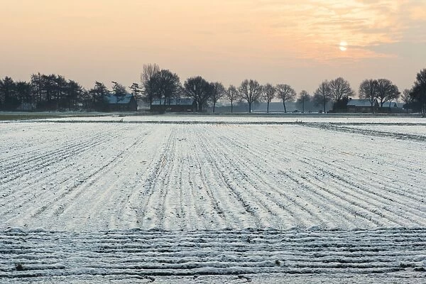 Low sun over ploughed fields covered in snow, Rijsbergen, North Brabant, The Netherlands (Holland), Europe