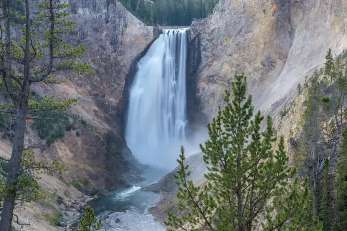 Framed Print : Lower Falls of the Grand Canyon framed in trees, Yellowstone National Park Framed Print : Lower Falls of the Grand Canyon framed in trees, Yellowstone National Park