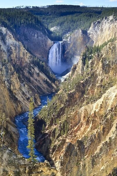 Lower Falls and the Grand Canyon of the Yellowstone, Yellowstone National Park, UNESCO World Heritage Site, Wyoming, United States of America, North America